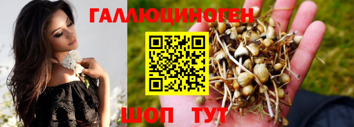 Галлюциногенные грибы ЛСД Валуйки